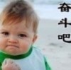 纯情奋斗↔小火鸡