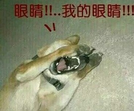 醉了也不和你睡主播照片