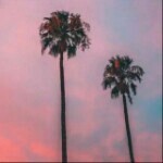 潇洒ABC~~