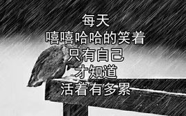 上官亦舞🌼主播照片