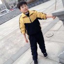 ZZMzh的头像
