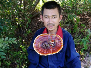 1一生1有你1的主播照片