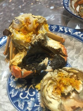 金爪农业主播照片