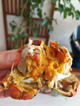 金爪农业主播照片