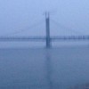 魏宏涛海报