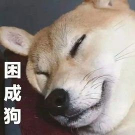 牛七牛💗求守护主播照片