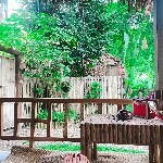 就是爱睡觉