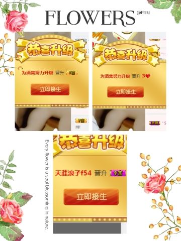 亮宝恭贺老大元始天尊主播照片
