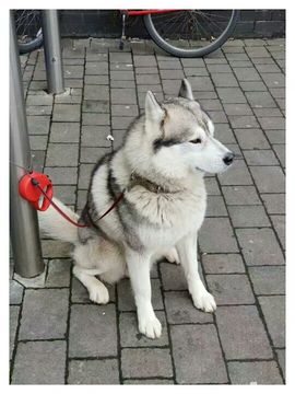 昵称换人，勿扰主播照片