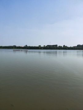 七彩丽人★主播照片