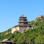 江鹰6307海报