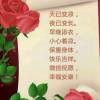 等待8ok