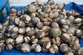 爱吃葡萄杨梅荔枝菠萝主播照片