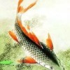 卡巴斯基a
