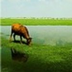 紫禁★痴魂海报