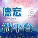 德宏-微平台（500