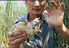 八百米主播照片