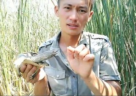 八百米主播照片