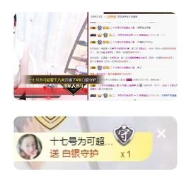 罐头，主播照片