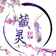 藏灵翡翠原石