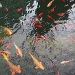 我是谁？？2