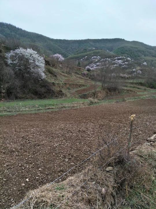 帕敢小建珠宝店长的主播照片