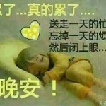无命小齐