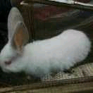 小文｡◕‿◕｡主播照片