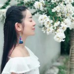 苑君如梦