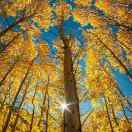 开心快乐每一天wo