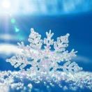 雪花9x海报