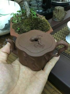 凤姐做紫砂壶自产自销主播照片