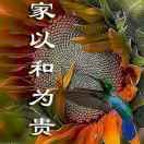 逍遥神话荀志刚