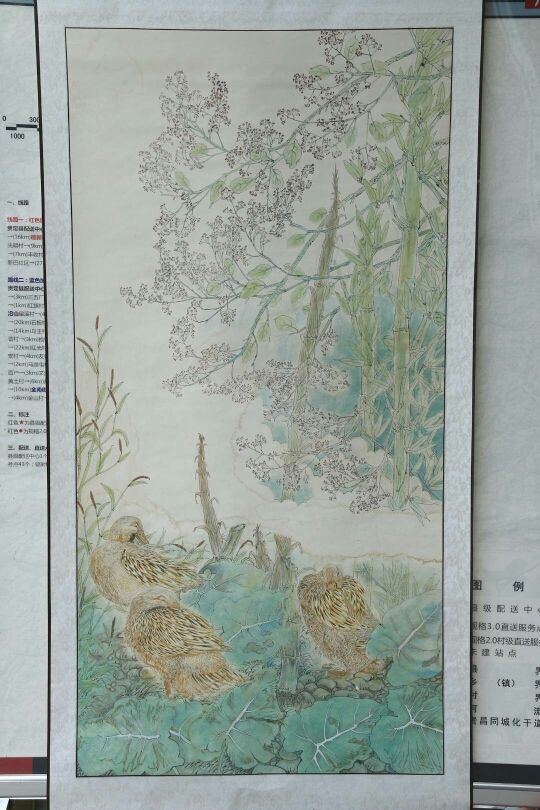 画!画的主播照片