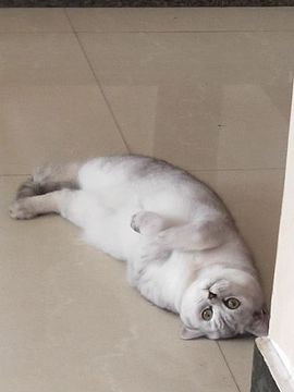 苏苏💋妹儿主播照片