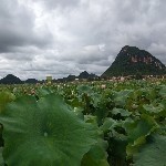 。稀薄
