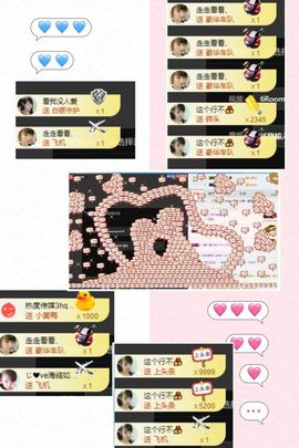 海鸽休息几天主播照片