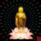 随缘8jx海报