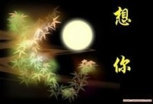玫瑰花4113025主播照片