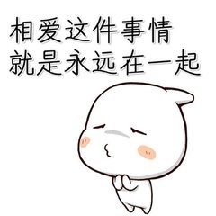 玫瑰花4113025主播照片
