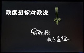 玫瑰花4113025主播照片