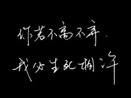 玫瑰花4113025主播照片