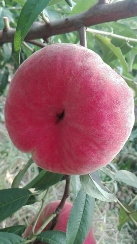 我花钱你受益主播照片