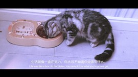 ღ宁宁ღ努力升四冠主播照片