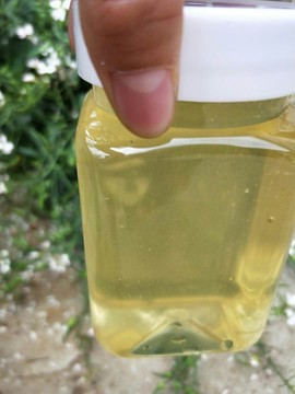 山东农副土特产品主播照片