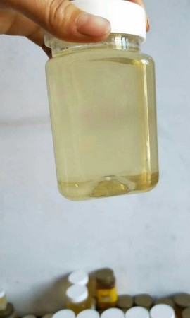 山东农副土特产品主播照片