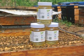 山东农副土特产品主播照片