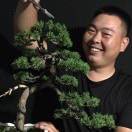 我心飞翔139680海报