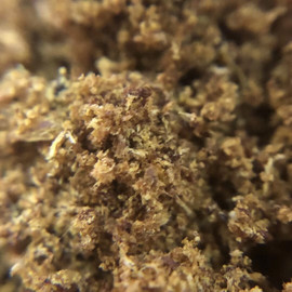 香之道沉香馆主播照片