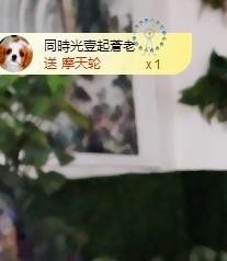 黄老邪-28581主播照片